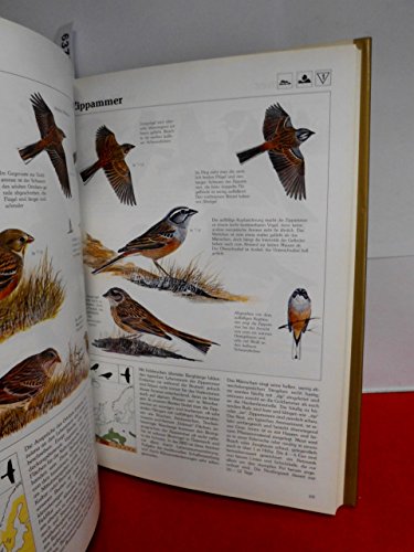 Das goldene Kosmos Vogelbuch. Europas Vögel – bestimmen, verstehen, schützen - 5