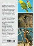 Das grosse Vogelbuch. Die Vögel Europas und der Welt - 2