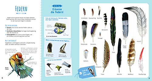 Das große Buch der Vögel - 2