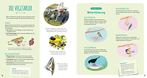 Das große Buch der Vögel - 3