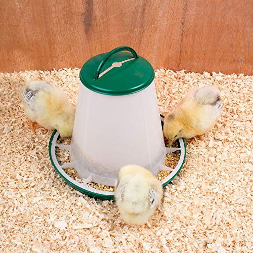 Geflügel-Futterautomat 10kg Hühnertrog, Futtertrog, Küken-Futtertrog, Wachtel-Futtertrog mit Deckel und Aufhängung - 2