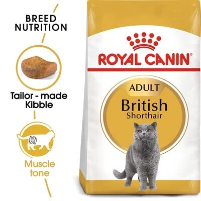 Royal Canin Feline British Shorthair, 1er Pack (1 x 10 kg Beutel) – Katzenfutter - 2