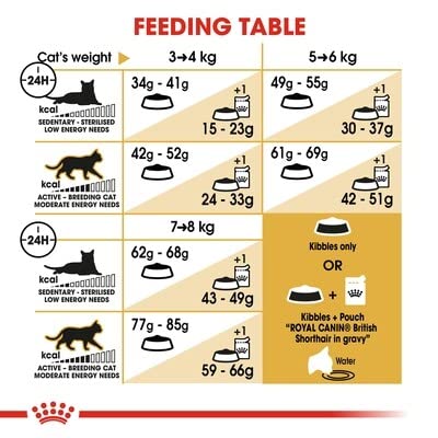 Royal Canin Feline British Shorthair, 1er Pack (1 x 10 kg Beutel) – Katzenfutter - 7