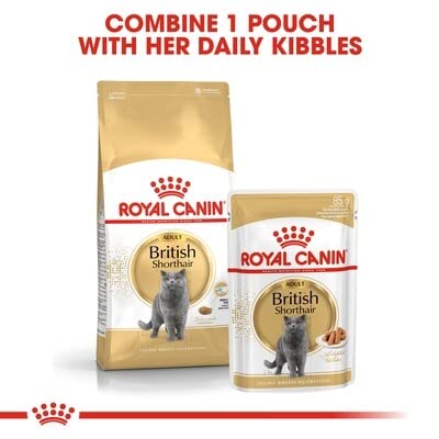 Royal Canin Feline British Shorthair, 1er Pack (1 x 10 kg Beutel) – Katzenfutter - 8