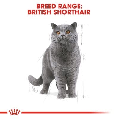 Royal Canin Feline British Shorthair, 1er Pack (1 x 10 kg Beutel) – Katzenfutter - 9