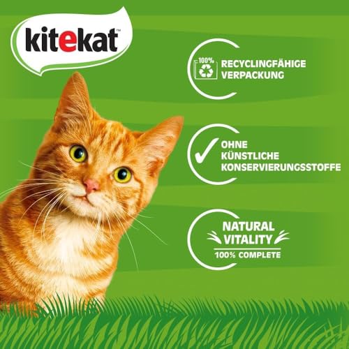 Kitekat Katzenfutter Bunte Vierfalt, 48 Beutel (1 x 48 x 100 g) - 2