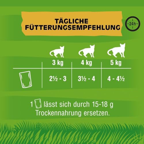 Kitekat Katzenfutter Bunte Vierfalt, 48 Beutel (1 x 48 x 100 g) - 3