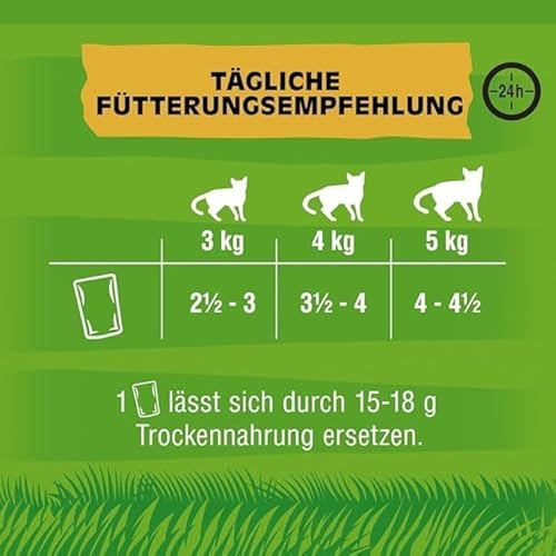 Kitekat Katzenfutter Bunte Vierfalt in Soße, 48 Beutel (1 x 48 x 100 g) - 3