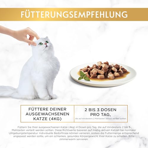 Gourmet Gold Katzenfutter Zarte Häppchen in Sauce mit Lachs und Huhn, 12er Pack (12 x 85 g) Dosen - 4