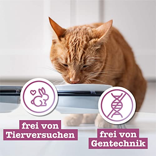 Catz finefood Katzenfutter Multipack II 6 x 400 g (No.15-No.25), 1er Pack (1 x 2.4 kg) - 5