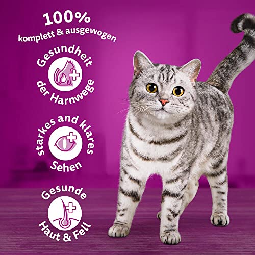 Whiskas 1+ Katzenfutter Huhn, 1er Pack (1 x 3.8 kg) - 3