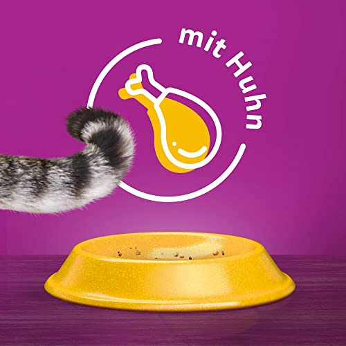 Whiskas 1+ Katzenfutter Huhn, 1er Pack (1 x 3.8 kg) - 9