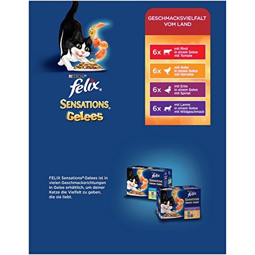 Sensations Gelees Geschmacksvielfalt vom Land4er Pack, (4 x 24 x 100 g) Beutel - 2