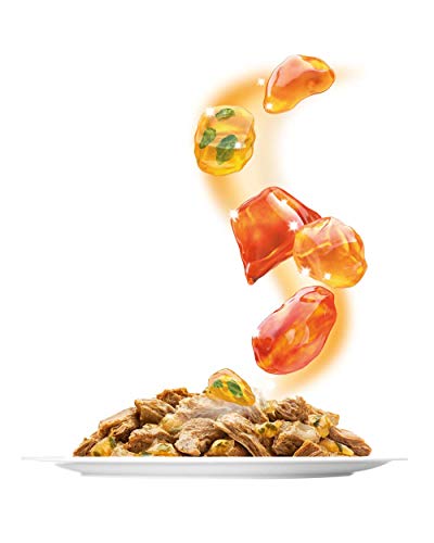 Sensations Gelees Geschmacksvielfalt vom Land4er Pack, (4 x 24 x 100 g) Beutel - 3