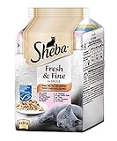 Sheba Fresh & Fine Katzenfutter Feine Vielfalt mit Gemüse (MSC), 72 Beutel (72 x 50 g) - 2