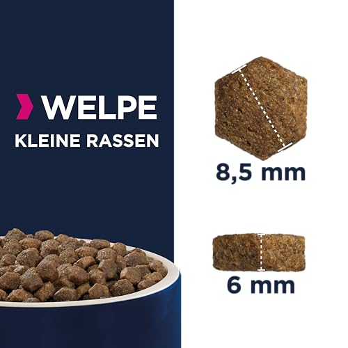 Eukanuba Puppy Small Breed Trockenfutter (für Welpen kleiner Hunderassen, Premiumnahrung mit Huhn), 3 kg Beutel - 2