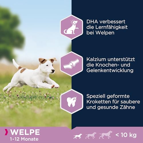 Eukanuba Puppy Small Breed Trockenfutter (für Welpen kleiner Hunderassen, Premiumnahrung mit Huhn), 3 kg Beutel - 3