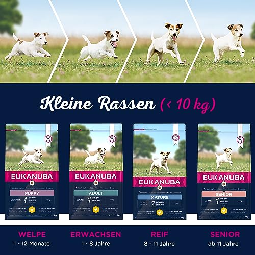 Eukanuba Puppy Small Breed Trockenfutter (für Welpen kleiner Hunderassen, Premiumnahrung mit Huhn), 3 kg Beutel - 4