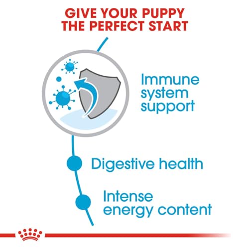 Royal Canin Hundefutter Mini Junior 33, 2 kg, 1er Pack (1 x 2 kg) - 3