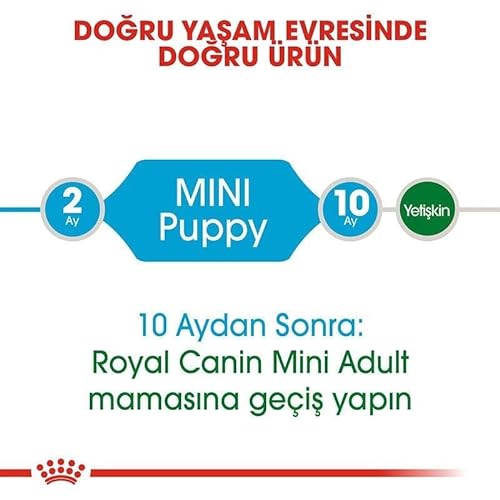 Royal Canin Hundefutter Mini Junior 33, 2 kg, 1er Pack (1 x 2 kg) - 7