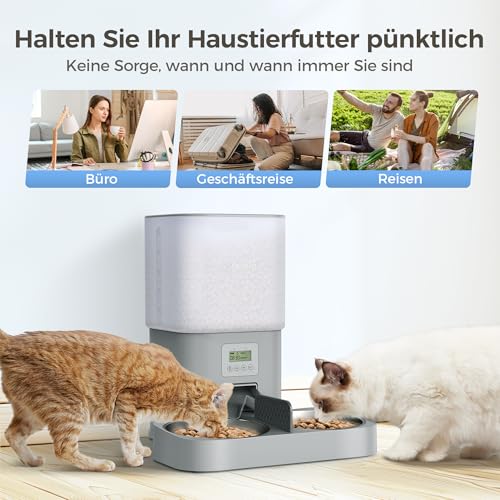 Grandtail 6.0 L Automatischer Futterautomat Katze 2 näpfe Gleichmäßig Verteilung Katzenfutter Automat Timer Katzen Futterspender mit Edelstahlschüssel Doppeltes Netzteil 10s Sprachaufzeichnung - 3