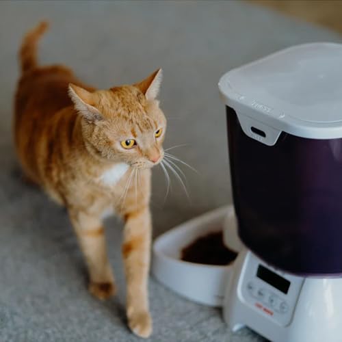 Pet Mate C3000 Trockenfutter-Automat, 3 kg Füllmenge - 2