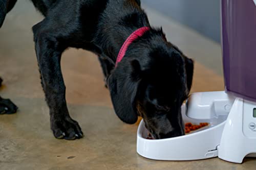 Pet Mate C3000 Trockenfutter-Automat, 3 kg Füllmenge - 7