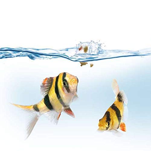 Juwel Aquarium 89000 Futterautomat - 9