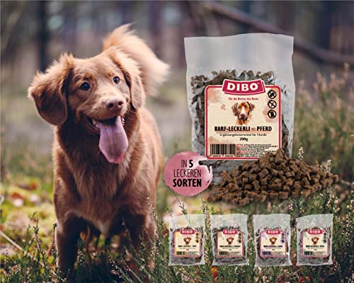 DIBO Barf-Leckerli mit Pferd - 5