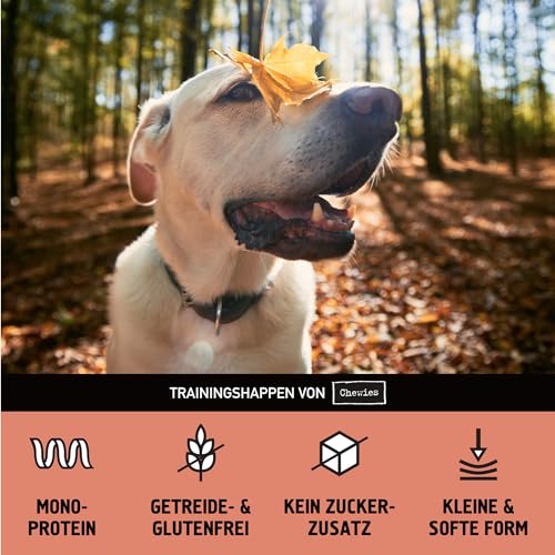 Chewies Trainingshappen Pferd - 7