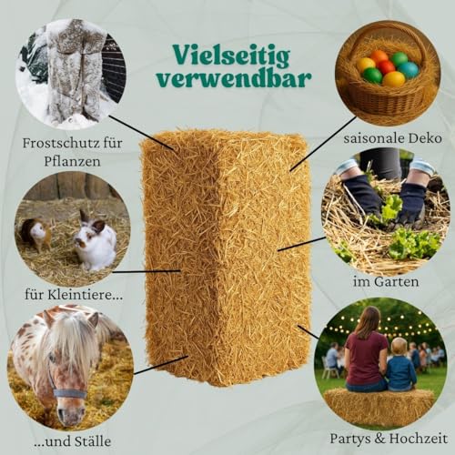 Bester Qualitäts Weizen Strohballen - 4