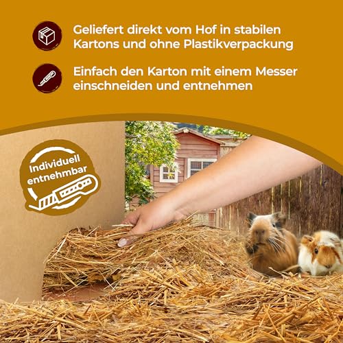 Bolson frisches Weizenstroh - 5