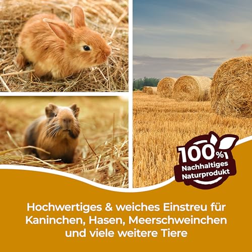 Bolson frisches Weizenstroh - 6