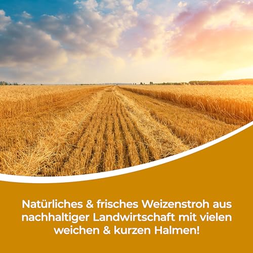 Bolson frisches Weizenstroh - 7