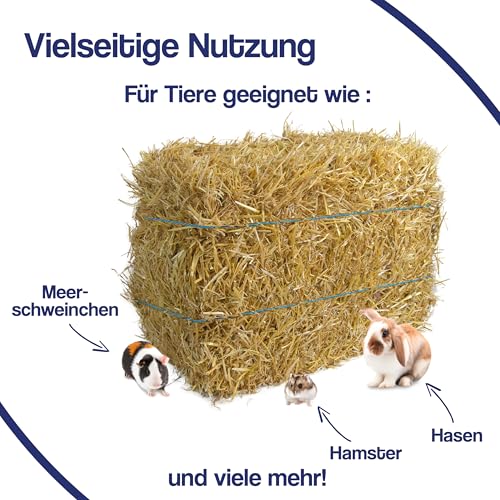 Gebrüder Goller Strohballen - 4