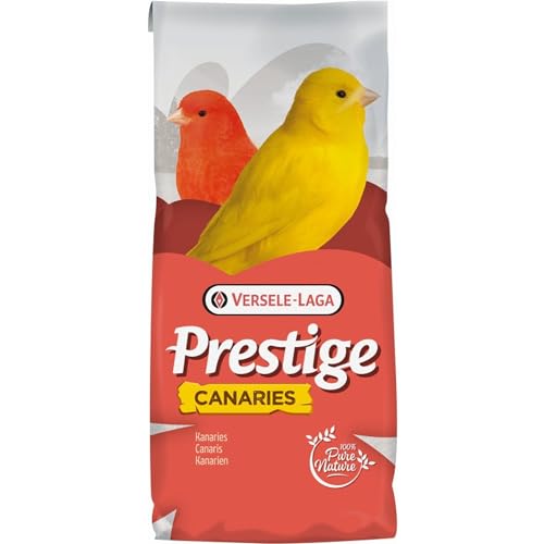 Versele Kanarien Zucht