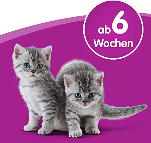 Whiskas Katzenmilch für Kätzchen - 6