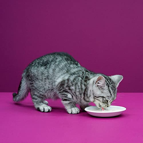 Whiskas Katzenmilch für Kätzchen - 7