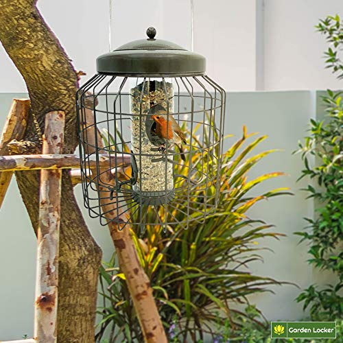 Eichhörnchensichere Vogelfutterstation - 6