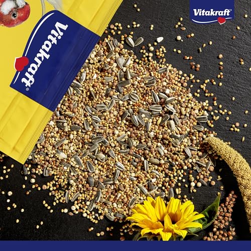 Vitakraft Menü Vogelfutter für Großsittiche, 3kg - 2
