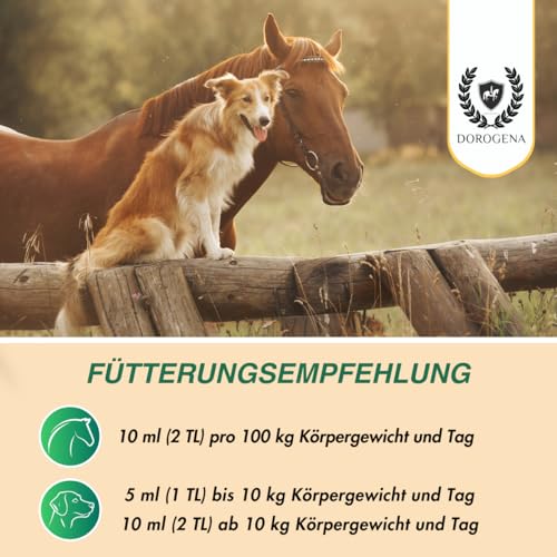 DOROGENA Bio Hanföl für Hunde und Pferde - 5