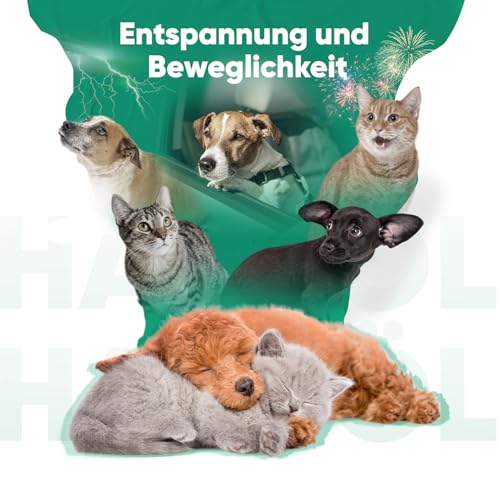 animigo Hanföl für Hunde & Katzen - 6