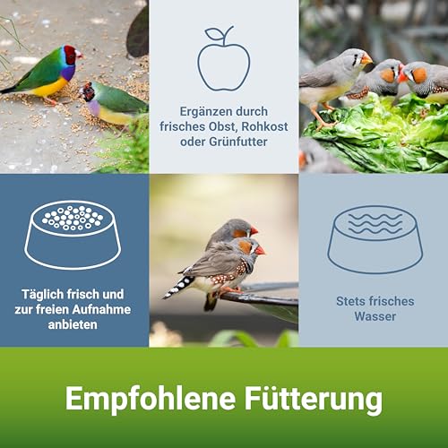 PANTO Exotenfutter mit Pluramin - 4