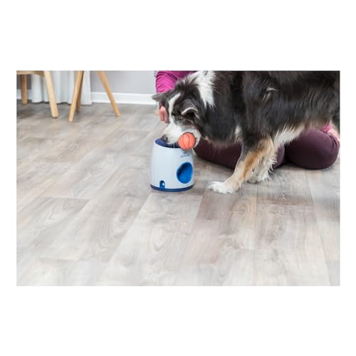 TRIXIE Hundespielzeug Intelligenz Dog Activity - 2