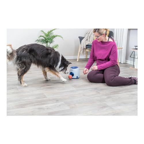 TRIXIE Hundespielzeug Intelligenz Dog Activity - 3