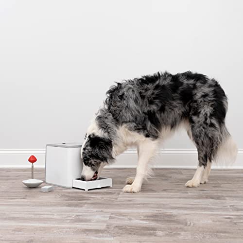 PetSafe Teach und Treat Ferngesteuerter Belohnungstrainer - 7