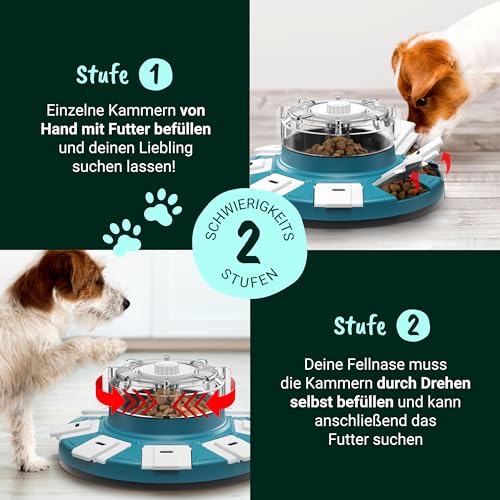 ElliPet® Hundespielzeug Intelligenz – Denkspiele für Hunde - 3