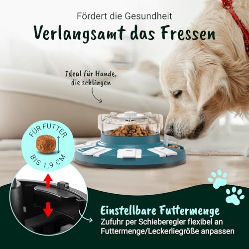 ElliPet® Hundespielzeug Intelligenz – Denkspiele für Hunde - 6