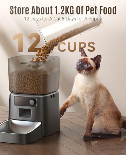 oneisall 3.5L Futterautomat Katze - 5