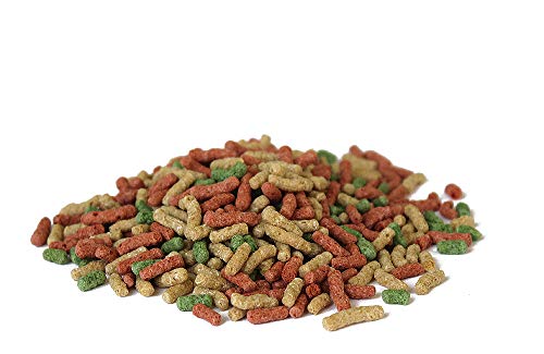 Premium Teichsticks Bunt für Koi 10.000 ml